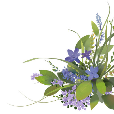 兔子的果園 插畫(huà)藝術(shù)與花卉包裝的商業(yè)邂逅